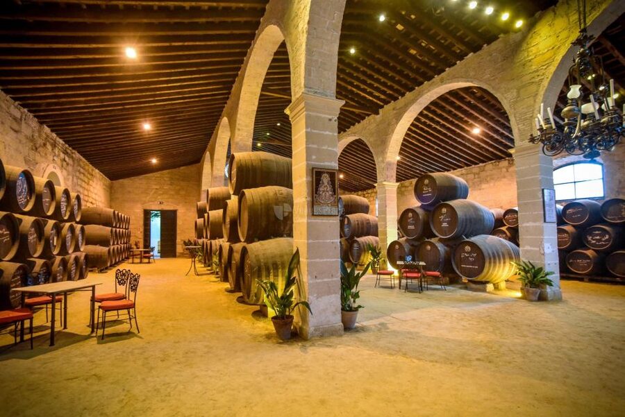 Jerez: Guided Winery Tour with Wine Tasting - Price and value: is $22 a deal?