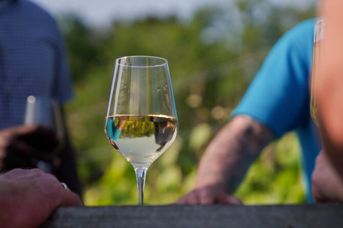 Jersey Premium Vineyard and Distillery Wine Tour and Tasting - Key highlights worth circling