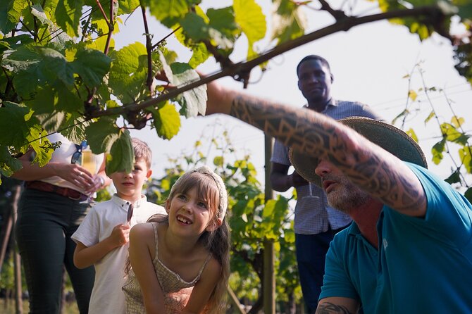 Jersey Premium Vineyard and Distillery Wine Tour and Tasting - Chocolate, fudge, biscuits, and Jersey Black Butter: the food part you’ll remember
