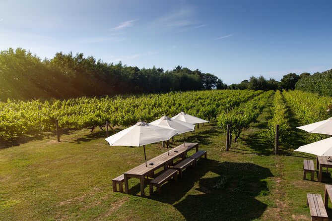 Jersey Premium Vineyard and Distillery Wine Tour and Tasting - Price and value: what $32.98 really buys you