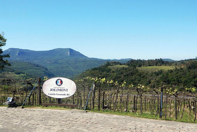 Jolimont Winery Tour - Visitation and Tasting - Canela RS - Timing: When to Go During the 9:00 to 4:45 Window