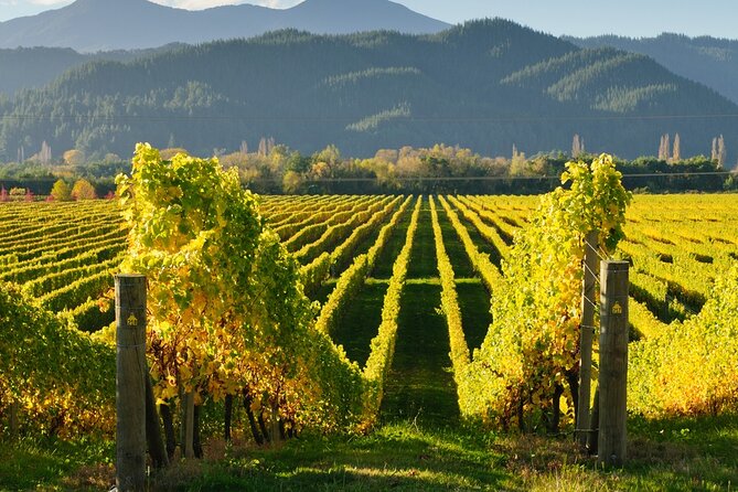 Kakheti: Bodbe, Sighnaghi, Telavi Wine Tour from Tbilisi - Gombori Pass and Ujarma Fortress: Short Nature and Ruin Stops