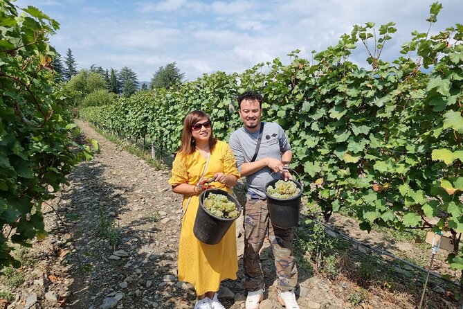 Kakheti - Small wineries and family-cooked lunch • Private tour - Bodbe Monastery of St. Nino: Calm After Wine and Views