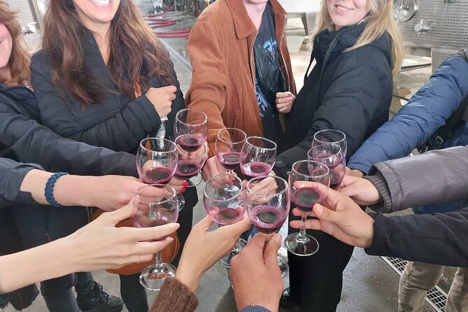 Kakheti Wine Region: Signagi and Bodbe Tour with 10 Wine Tastings - Tips to make the day smoother (and tastier)