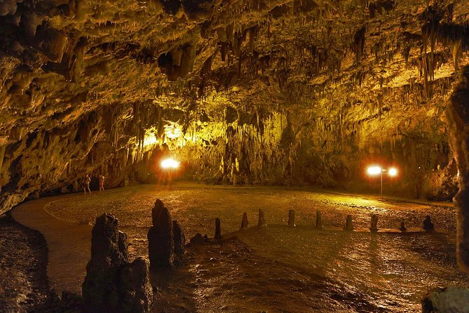 Kefalonia Island Bus Tour- Wine Tasting, Melissani & Fiscardo - Price and logistics: is $41.92 good value?