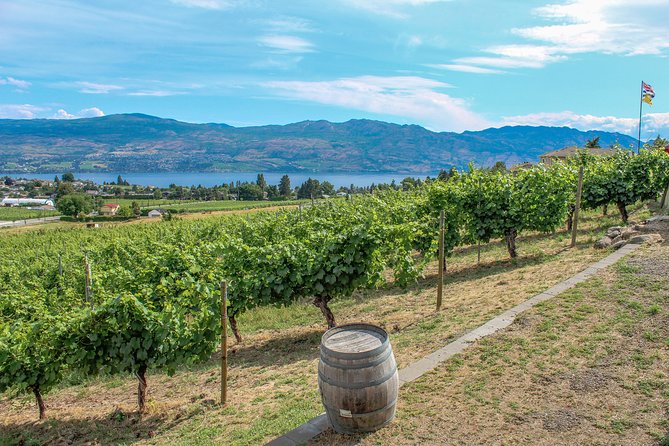 Kelowna or West Kelowna Afternoon Sightseeing Wine Tour - Pacing, comfort, and smart safety rules that matter