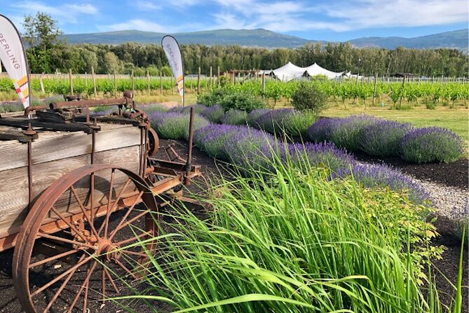 Kelowna Wine Tour by E-bike, Okanagan Valley Views and Lunch - Key highlights before you ride