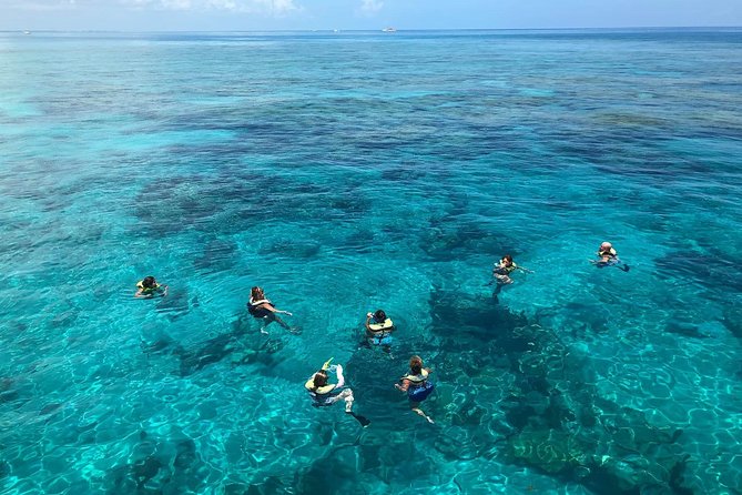 Key West 2 Reef Snorkel Tour & Sunset Cruise with Beer & Wine - The sunset sail back: drinks, music, and photo timing