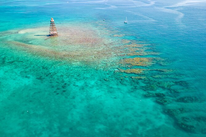 Key West 2 Reef Snorkel Tour & Sunset Cruise with Beer & Wine - Snorkeling real talk: what you’ll need and what you might see