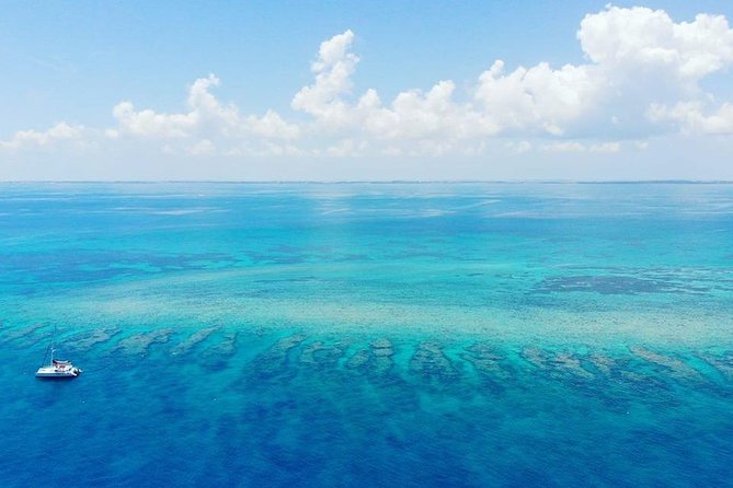 Key West 2 Reef Snorkel Tour & Sunset Cruise with Beer & Wine - Value check: is $69.95 a good deal?