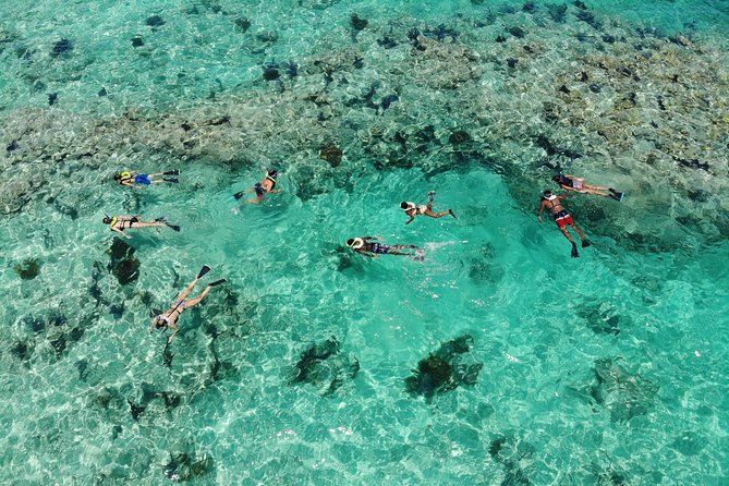 Key West 2 Reef Snorkel Tour & Sunset Cruise with Beer & Wine - Should you book this Key West 2 Reef Snorkel Tour and Sunset Cruise?