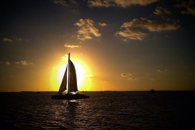 Key West Champagne Sunset Catamaran Cruise - Wildlife and Water Views: What You Can Hope to See