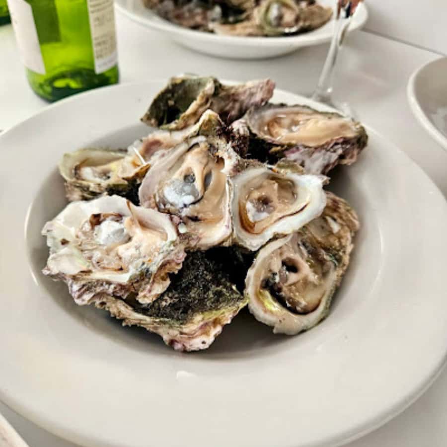 Knysna Lagoon: Boat Cruise with Oyster & White Wine Tasting - Finding the Dock: Thesen Island Starts the Story