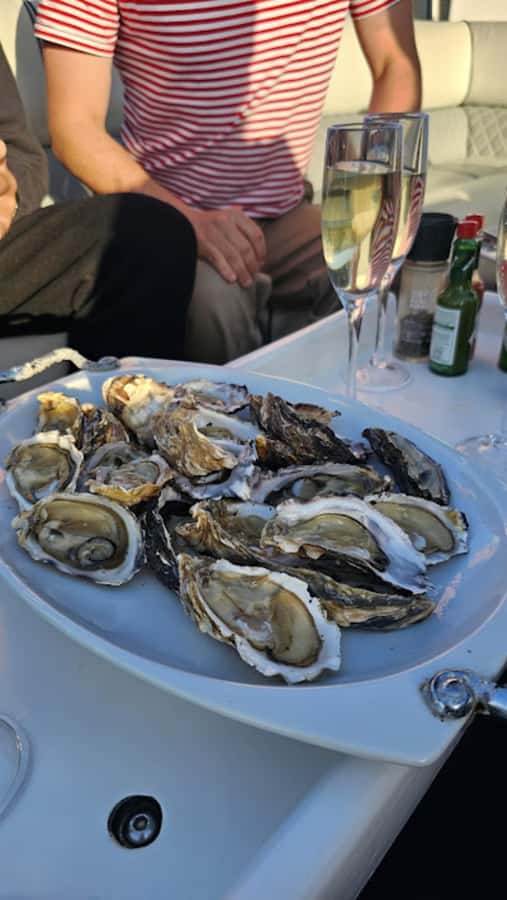 Knysna: Wine & Oyster Luxury Lounger Sunset Cruise - Wine and oysters on the water: simple pairing, good pacing, and what you get