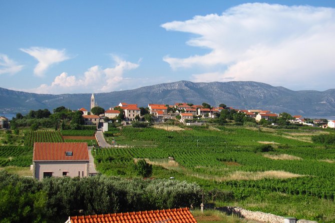 Korcula Bike & Wine Tour | Wine Tasting in Lumbarda - Returning to Korčula Town by Van: No Need to Cycle Your Buzz Off