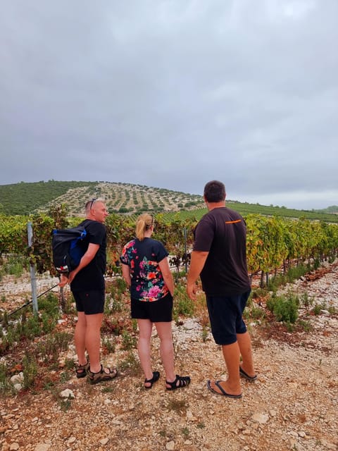 Korcula: Buggy Safari with Local Food and Wine Tasting - Lumbarda Beach Time: Sand, Swim, and Optional Extras