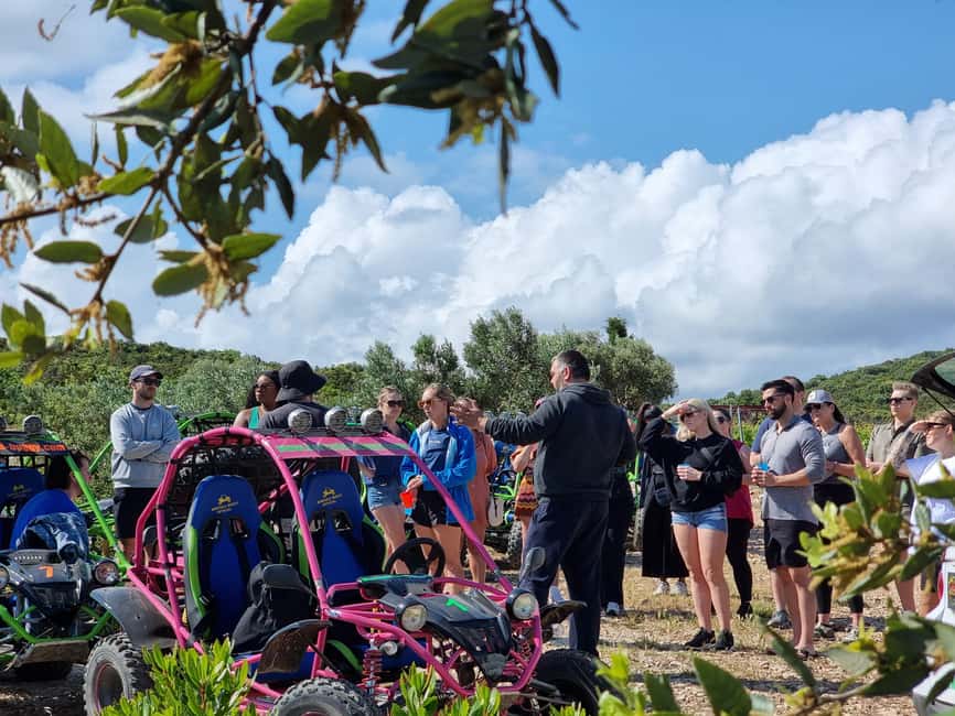 Korcula: Buggy Safari with Local Food and Wine Tasting - Who This Tour Suits Best (and Who Should Skip It)
