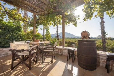 Kos: Wineries Tour w/ Wine Tastings & Transportation - Hotel pickup and transportation: smooth starts matter