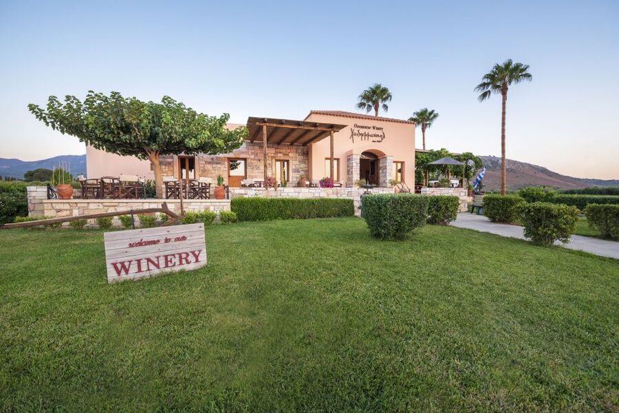 Kos: Wineries Tour w/ Wine Tastings & Transportation - Buying wine on-site: easy, optional, and usually not pushy