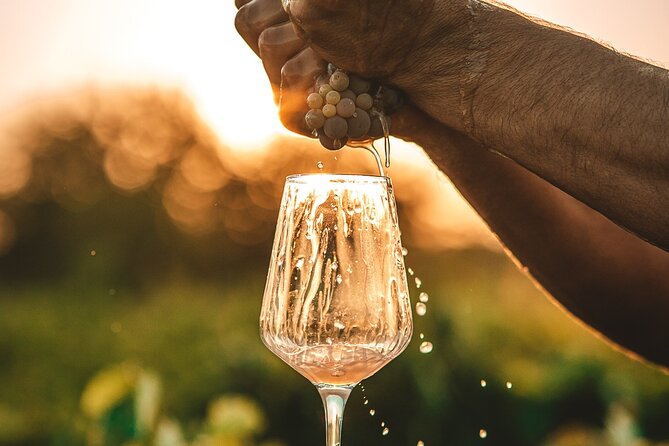 Krka Waterfalls & Wine and Cheese Tasting Tour from Split - Comfort, Group Size, and How the Guide Keeps It Moving