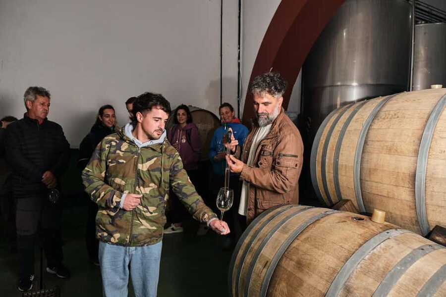 La Palma: Bodegas Teneguia Winery Tour with Wine Tasting - Cellar walk-through: what you’ll see beyond the tasting