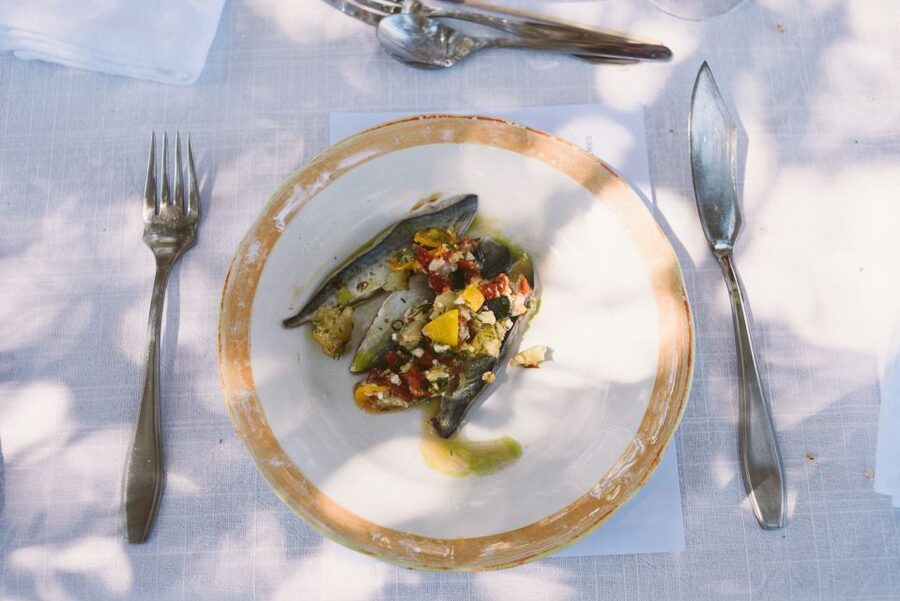 Lagoa: Morgado do Quintão Estate Lunch and Wine Tasting - Key Things You’ll Really Want to Know
