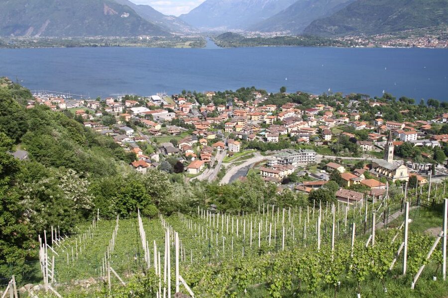 Lake Como: Winery Tour with Wine Tasting - Key Things I’d Prioritize Here