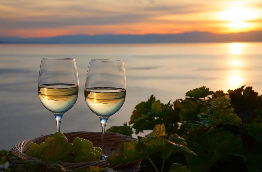 Lake Como: Winery Tour with Wine Tasting - Food Pairings That Don’t Feel Like an Afterthought
