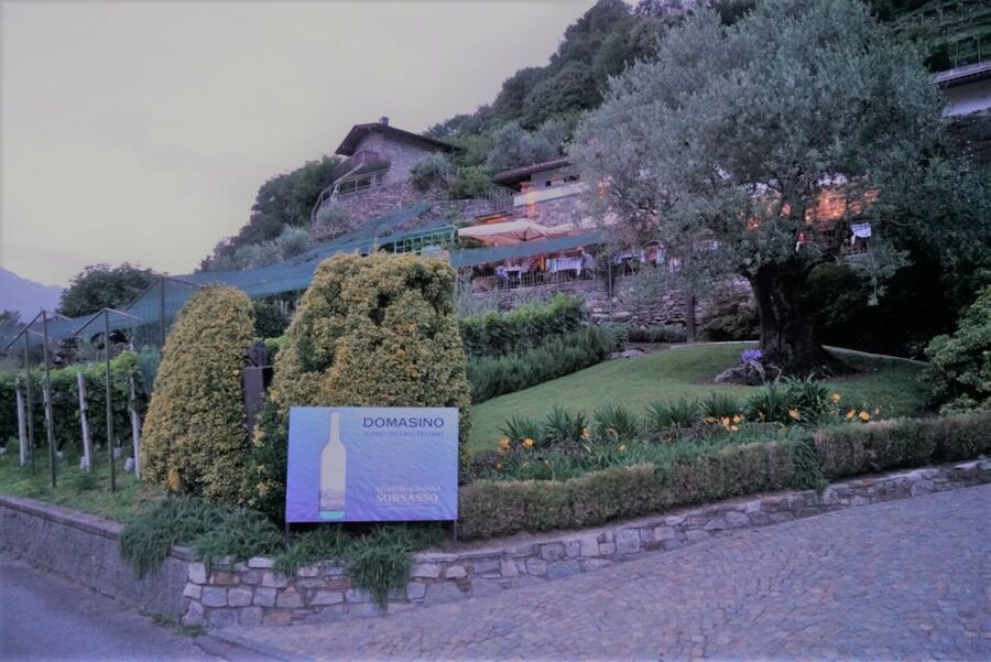 Lake Como: Winery Tour with Wine Tasting - Getting There Without Stress: Domaso Walk, Bus, and Ferry Options