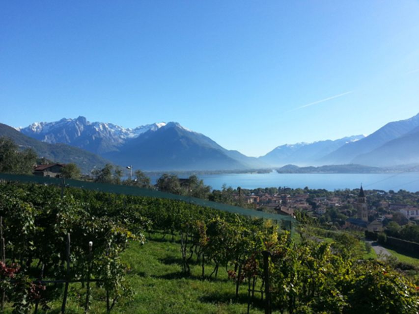 Lake Como: Winery Tour with Wine Tasting - Should You Book This Lake Como Winery Tasting?