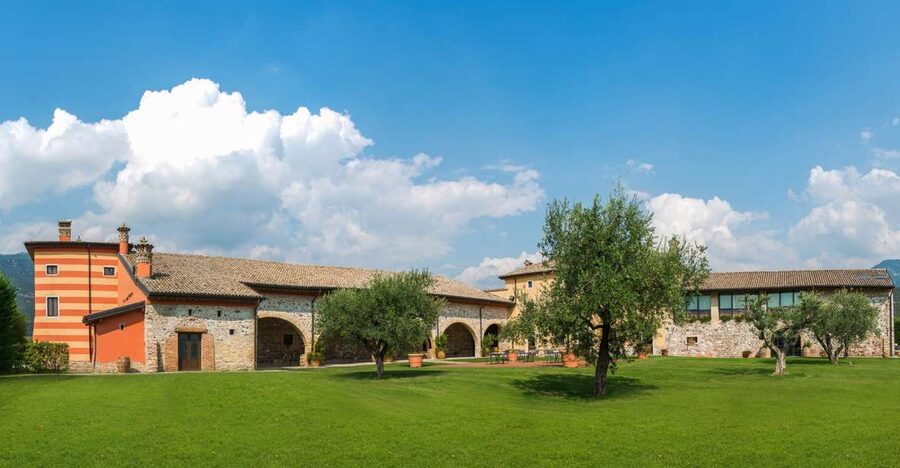 Lake Garda: Garda Hills Wine Tour and Tasting - Two cellars to compare: new wine setup and aging storage