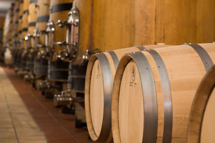 Lake Garda: Garda Hills Wine Tour and Tasting - Price and logistics: does $51 for 2 hours feel fair?