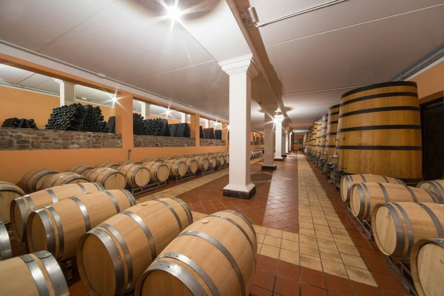 Lake Garda: Garda Hills Wine Tour and Tasting - Vineyard walk on the hills: what you learn from the rows