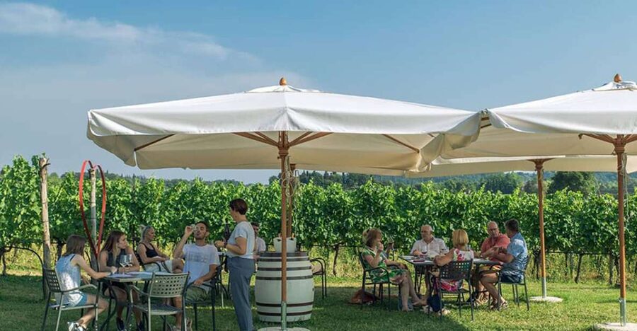 Lake Garda: Wine and Food Tastings in the Vineyards - Key moments that make this Lake Garda tasting worth it