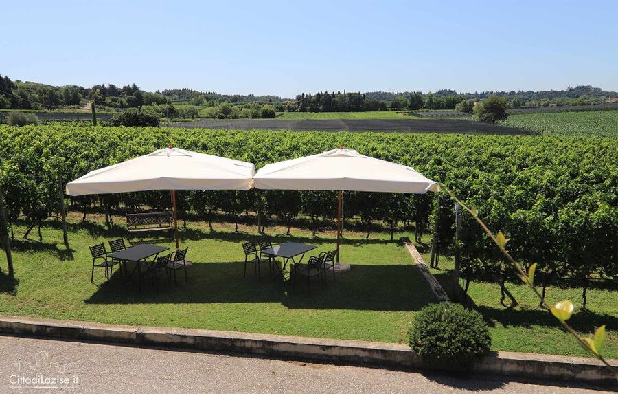 Lake Garda: Wine and Food Tastings in the Vineyards - Who this experience suits best (and who should skip it)
