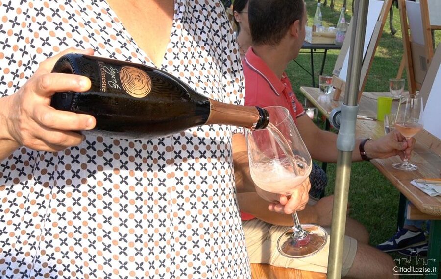 Lake Garda: Wine and Food Tastings in the Vineyards - Lake Garda to Lazise: what this vineyard tasting really feels like