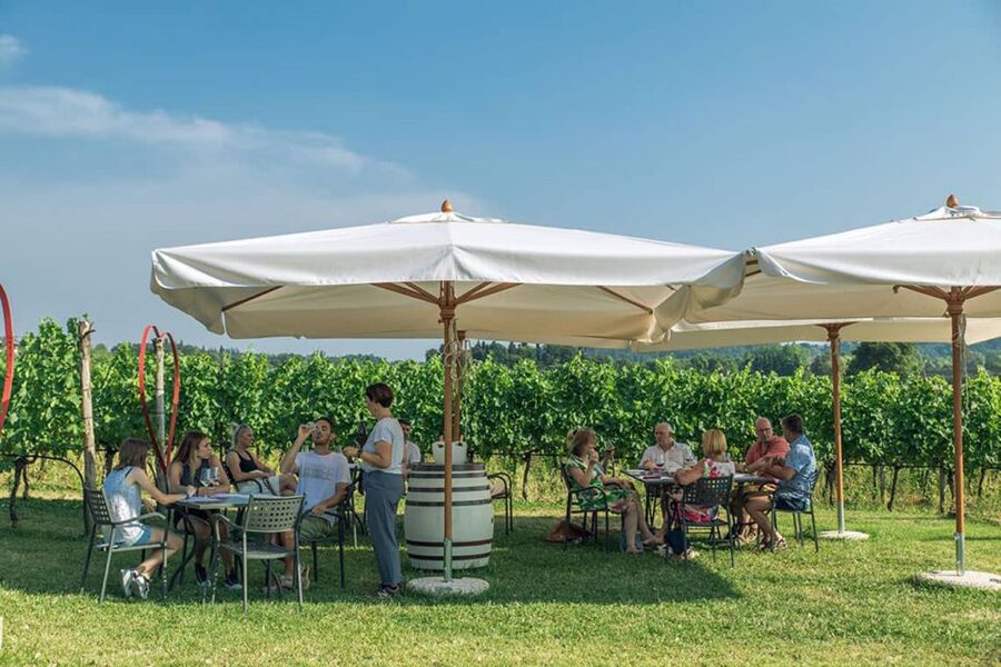 Lake Garda: Wine and Food Tastings in the Vineyards - Wine lineup you’ll actually recognize: white, rosé, red, and sparkling