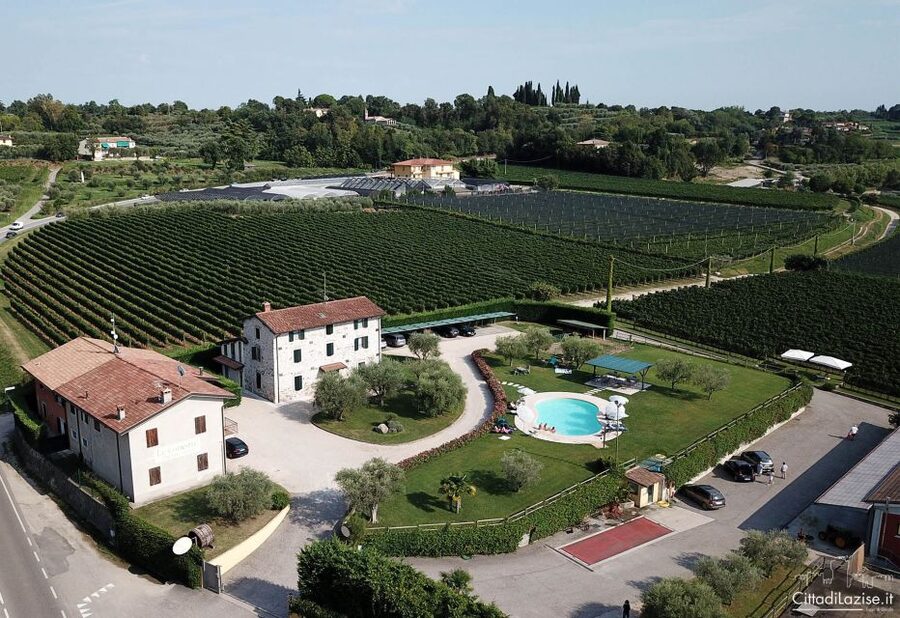 Lake Garda: Wine and Food Tastings in the Vineyards - Hosts and pacing: where Barbara and Chiara set the tone
