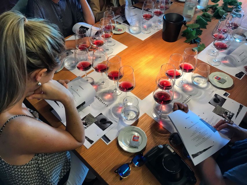 Lake Garda: Wine Tour and Tasting Experience in Bardolino - Key Things to Know Before You Go
