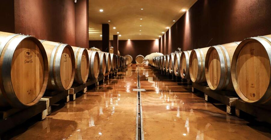 Lake Garda: Wine Tour and Tasting Experience in Bardolino - The Sommelier’s Flight: 2 Reds, 2 Whites, Plus Pairing Bites