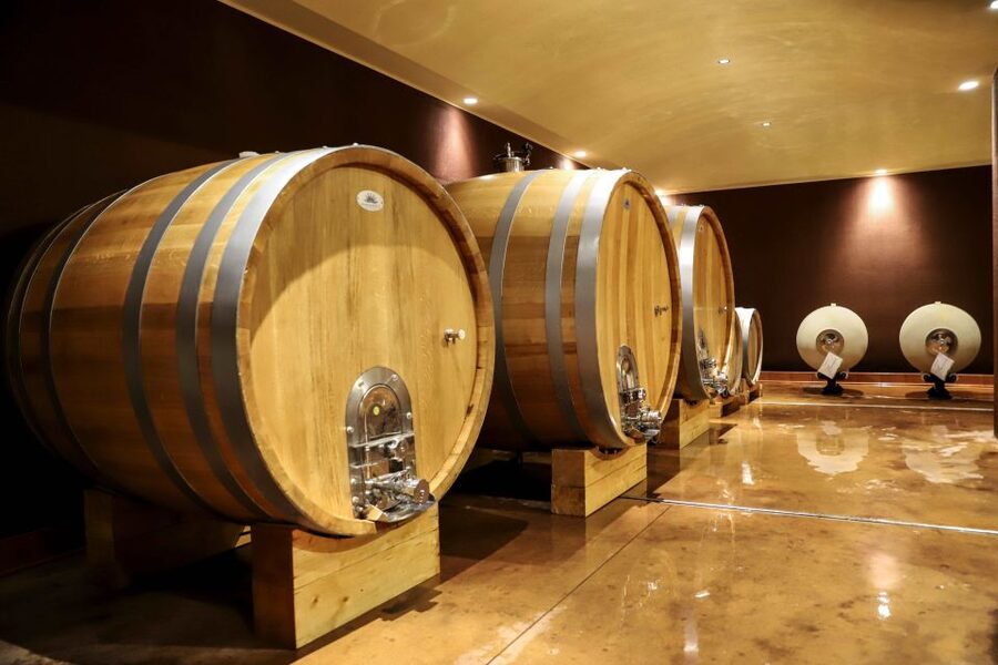 Lake Garda: Wine Tour and Tasting Experience in Bardolino - Who This Tour Is Best For (And Who Might Want Another Option)