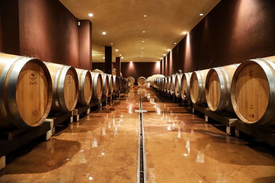 Lake Garda: Wine Tour and Tasting Experience in Bardolino - Winery Walkthrough: How Grapes Become Bottles (Without the Snobbery)