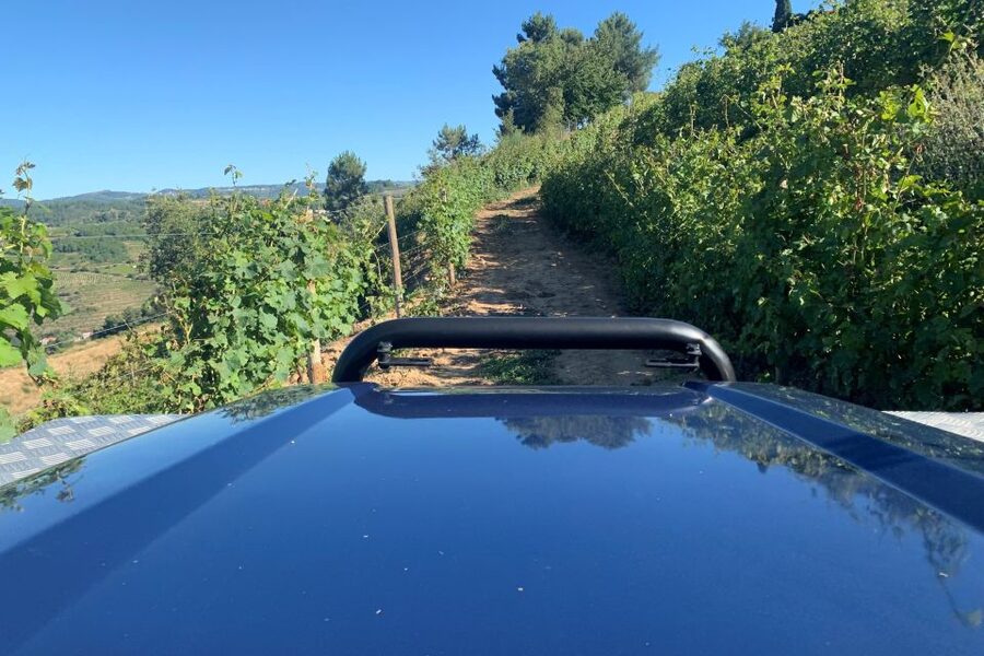 Lamego: Quinta da Portela de Baixo Winery Tour and Tasting - The Human Touch: Hosts, Language Options, and a Private, Low-Pressure Feel