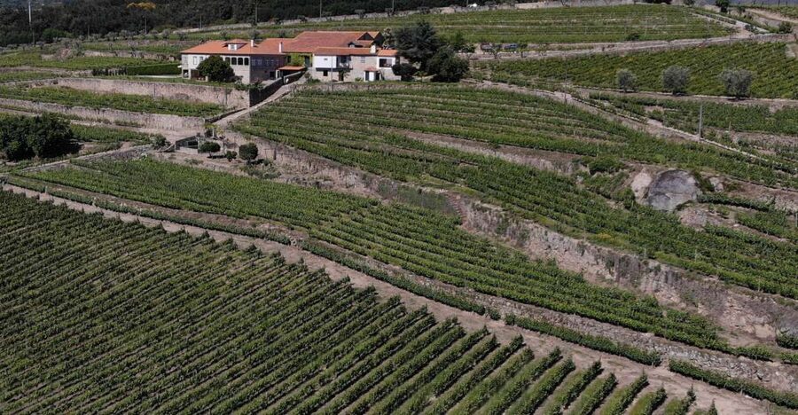 Lamego: Quinta da Portela de Baixo Winery Tour and Tasting - Who Should Book This Quinta Tour (and Who Might Skip)