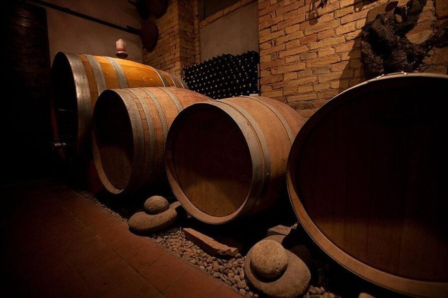 Langhe & Monferrato: Vineyard Tour and Wine Tasting - Meet the Bussi Piero Team and Get Oriented in the Vineyard