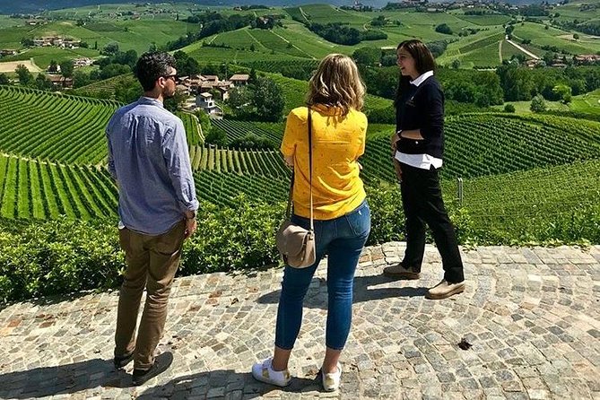 Langhe Wine Tour and Tasting - One day with a Somm - Key highlights to know before you go