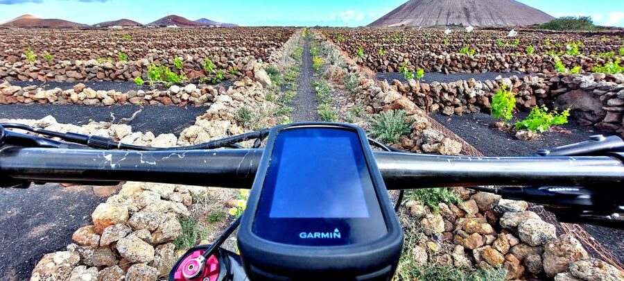 Lanzarote E-Bike Tour: Volcano Craters & Scenic Vineyards - Photo and video report: a souvenir you’ll actually use