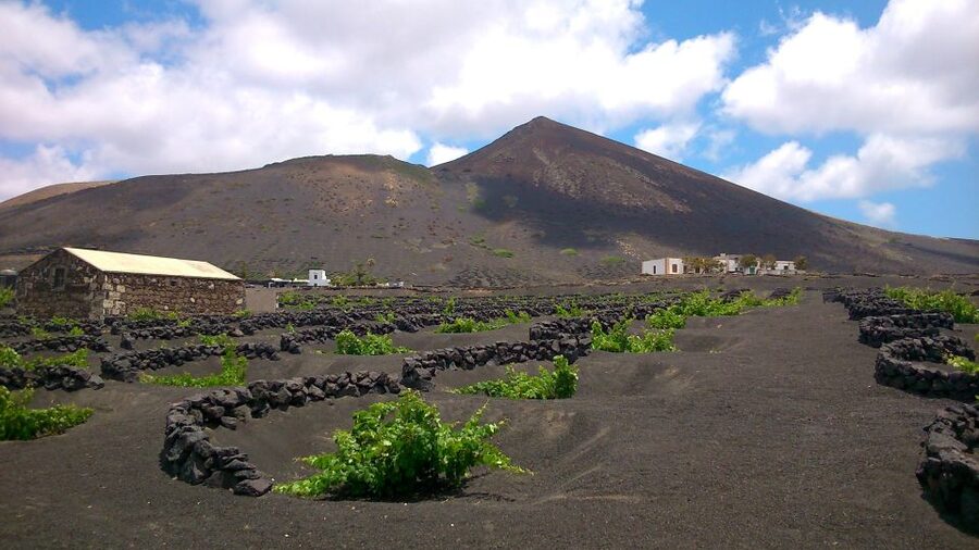 Lanzarote: La Geria Vineyards Hiking Tour - La Geria’s Volcanic Vineyards: How “The Miracle” Shapes the Walk
