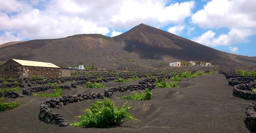 Lanzarote: La Geria Vineyards Hiking Tour - FAQ