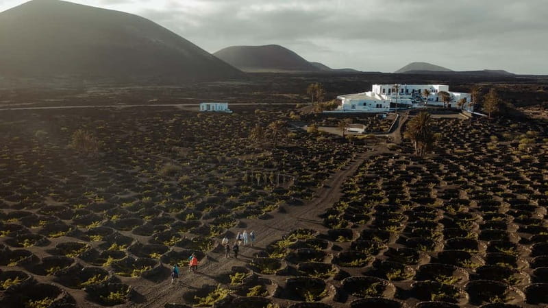 Lanzarote: Sunset vineyard tour with wine and chocolate tasting - Key highlights you should care about